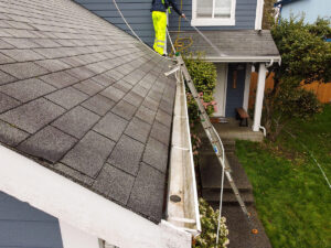 Gutter-Cleaning