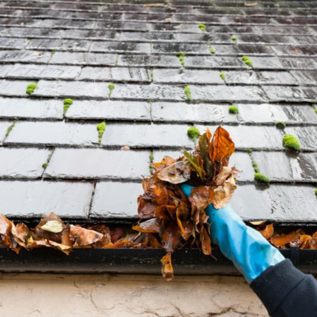 Gutter Cleaning