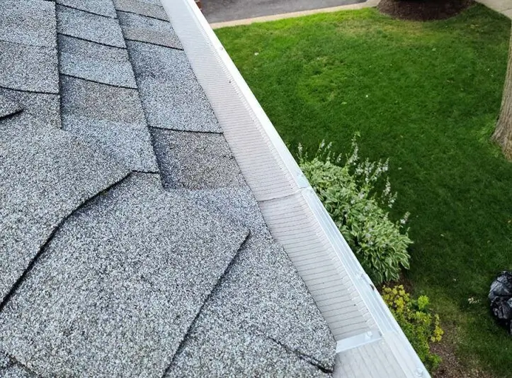 gutter cleaning